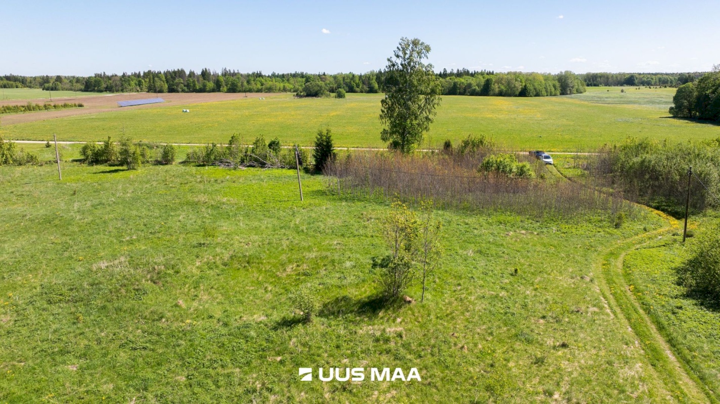Kohila vald, Rabivere küla, Leedri
