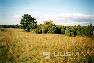 Saaremaa vald, Muratsi küla