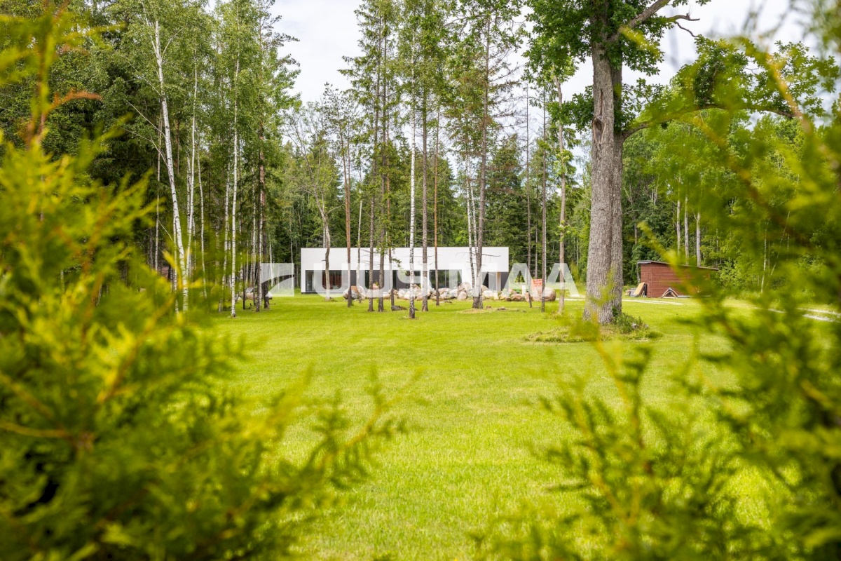 Lääne-Harju vald, Niitvälja küla, Ennuheigi
