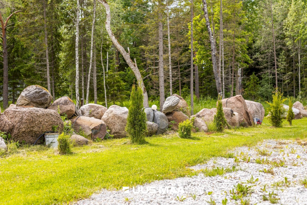 Lääne-Harju vald, Niitvälja küla, Ennuheigi