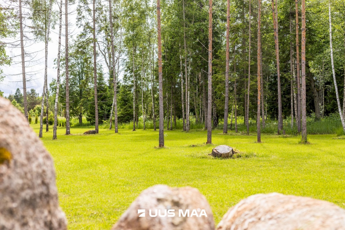Lääne-Harju vald, Niitvälja küla, Ennuheigi