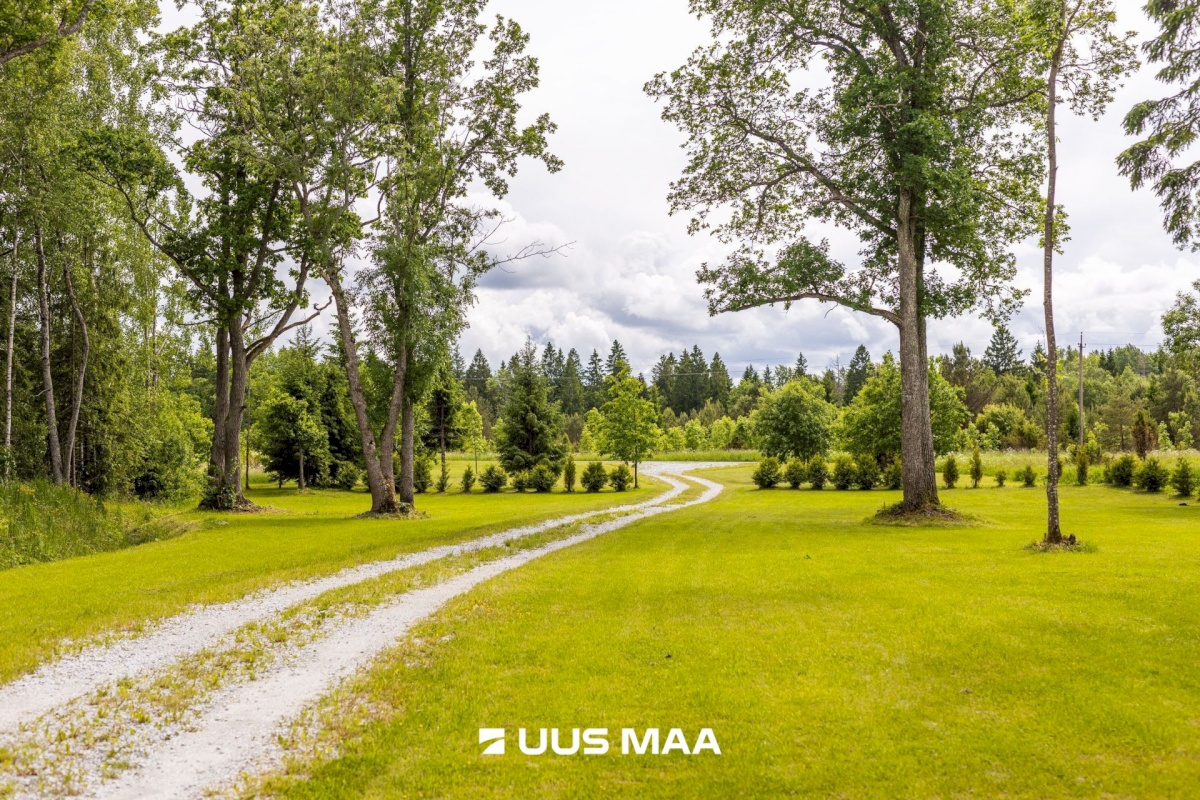 Lääne-Harju vald, Niitvälja küla, Ennuheigi