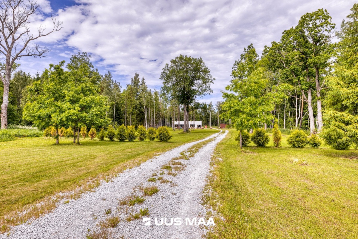 Lääne-Harju vald, Niitvälja küla, Ennuheigi