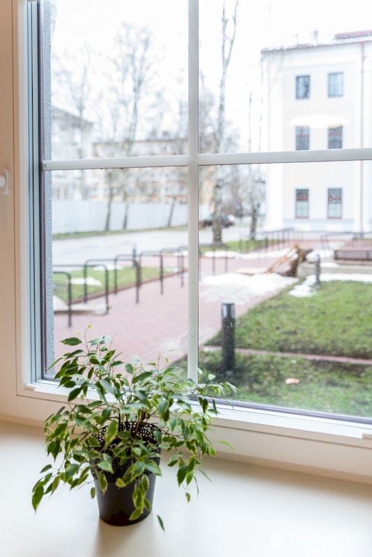Tallinn, Põhja-Tallinna linnaosa, Erika 15