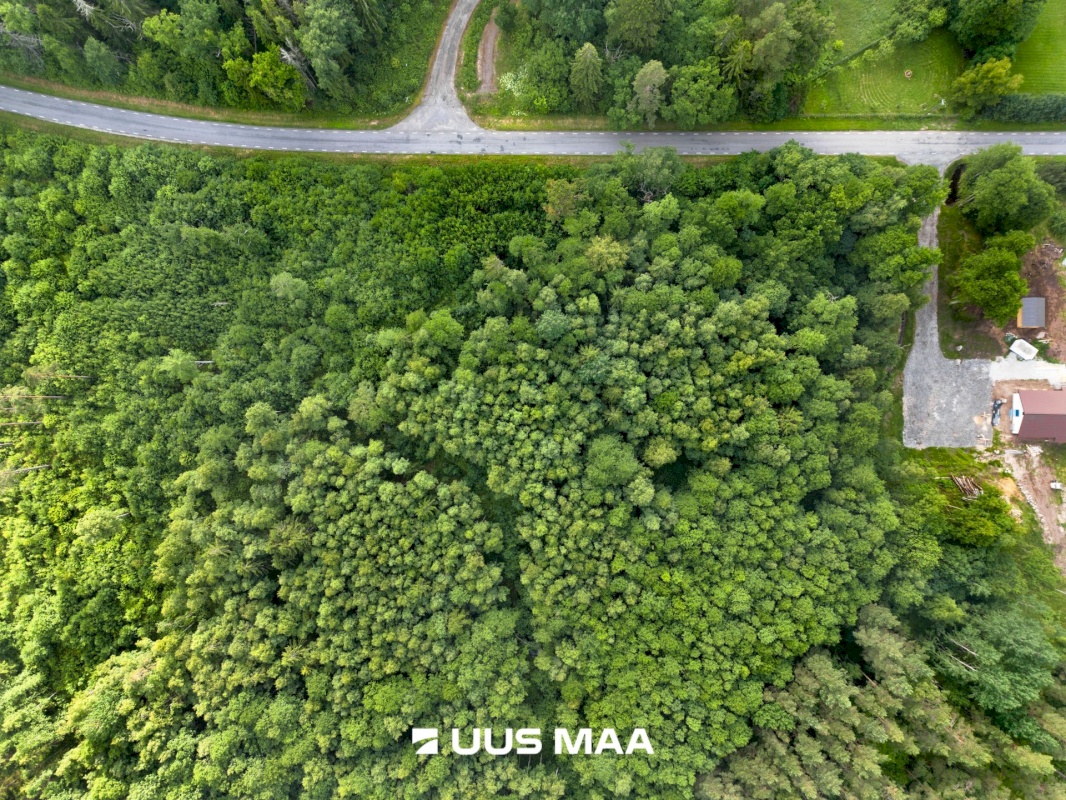 Kuusalu vald, Salmistu küla, Metsoja tee 2