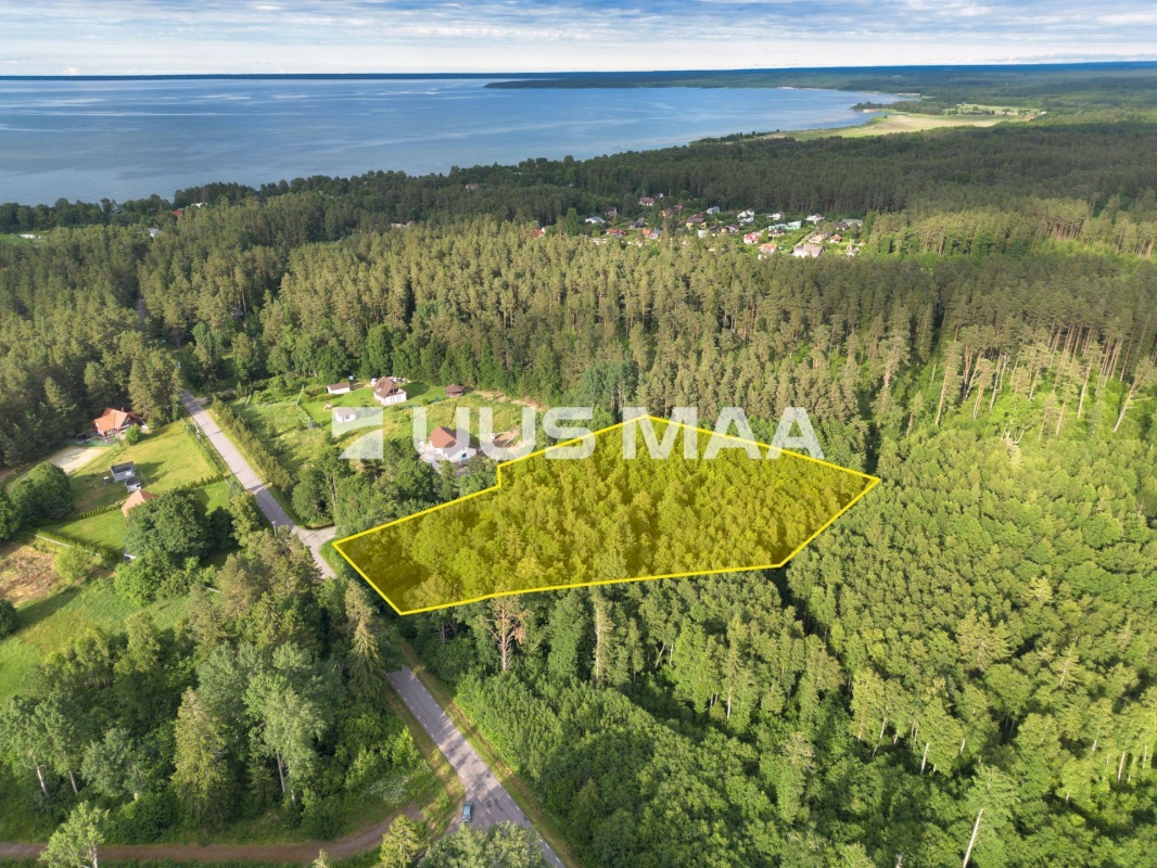 Kuusalu vald, Salmistu küla, Metsoja tee 2