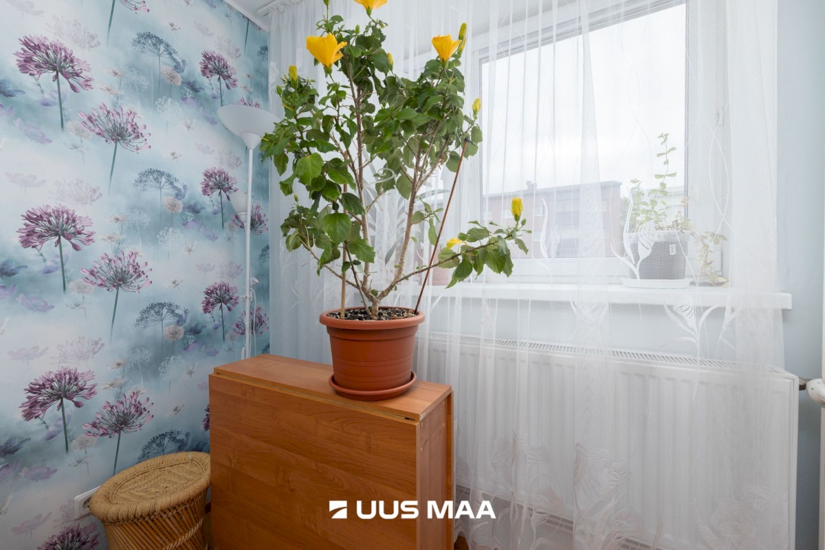 Keila linn, Niidu 5