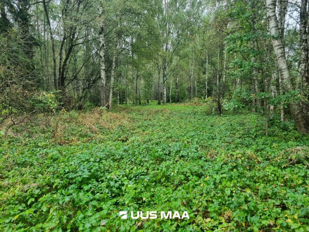 Tartu linn, Tartu linn, Tähtvere, F. R. Kreutzwaldi 25