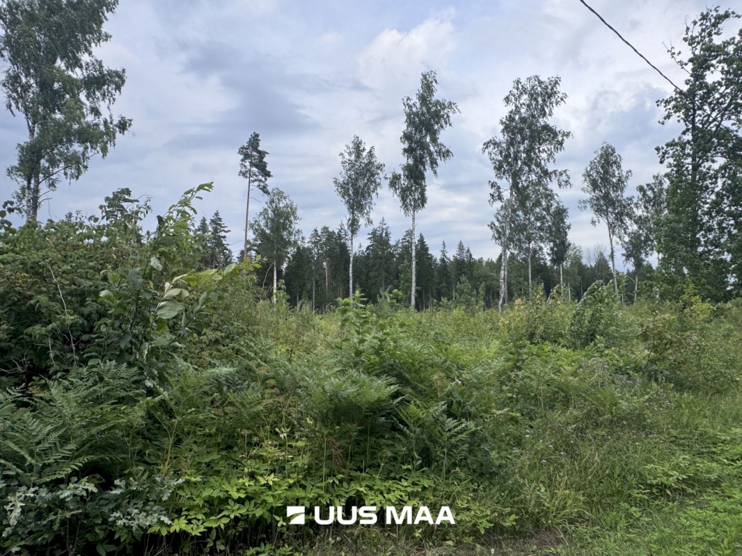 Kohila vald, Mälivere küla, Redu tee Hundimetsa
