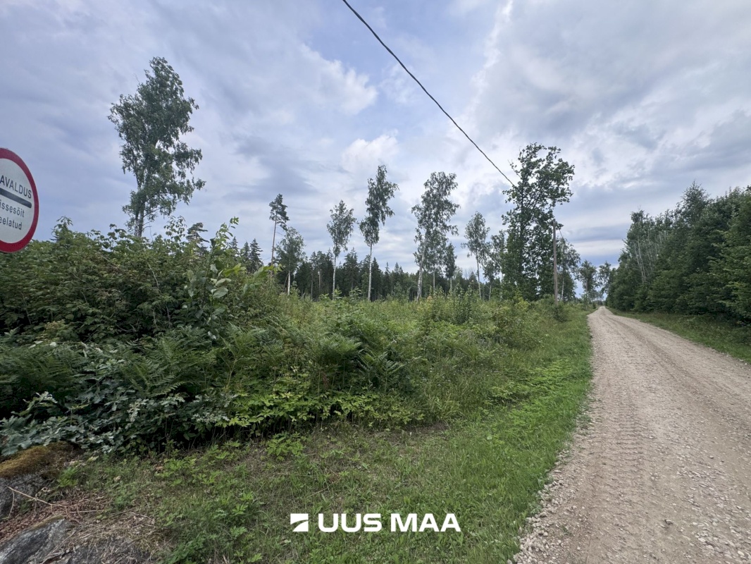 Kohila vald, Mälivere küla, Redu tee Karumetsa