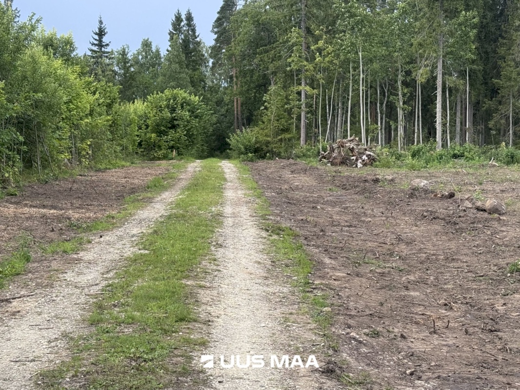 Kohila vald, Mälivere küla, Redu tee Karumetsa