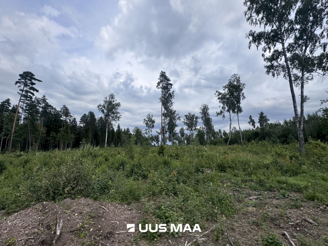 Kohila vald, Mälivere küla, Redu tee Karumetsa