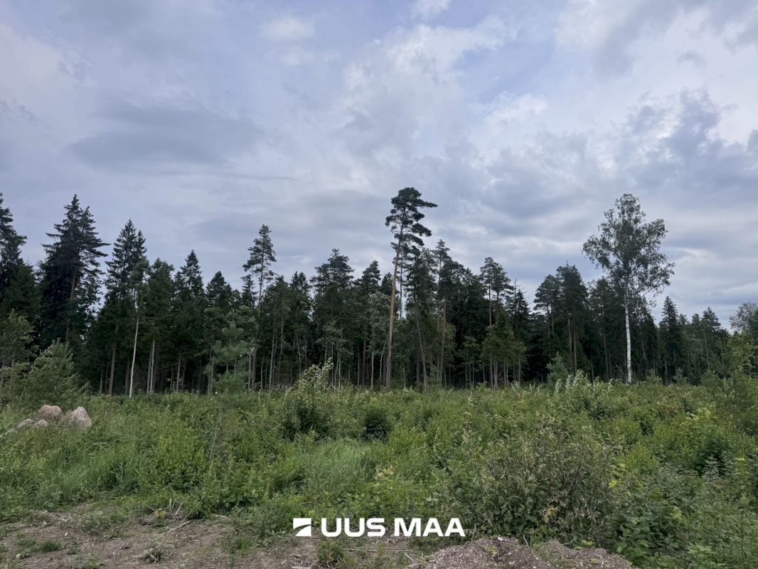 Kohila vald, Mälivere küla, Redu tee Karumetsa