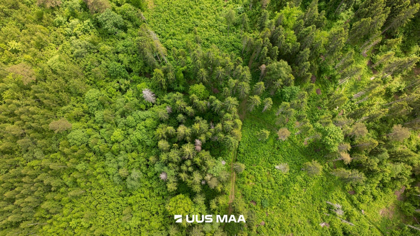 Kohila vald, Hageri küla, Tamme tee 12