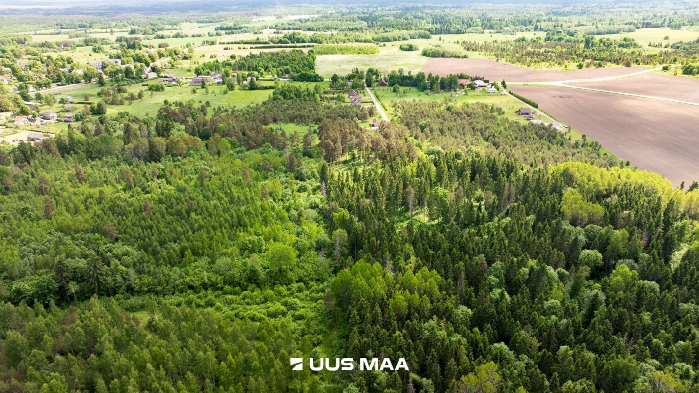 Kohila vald, Hageri küla, Tamme tee 12
