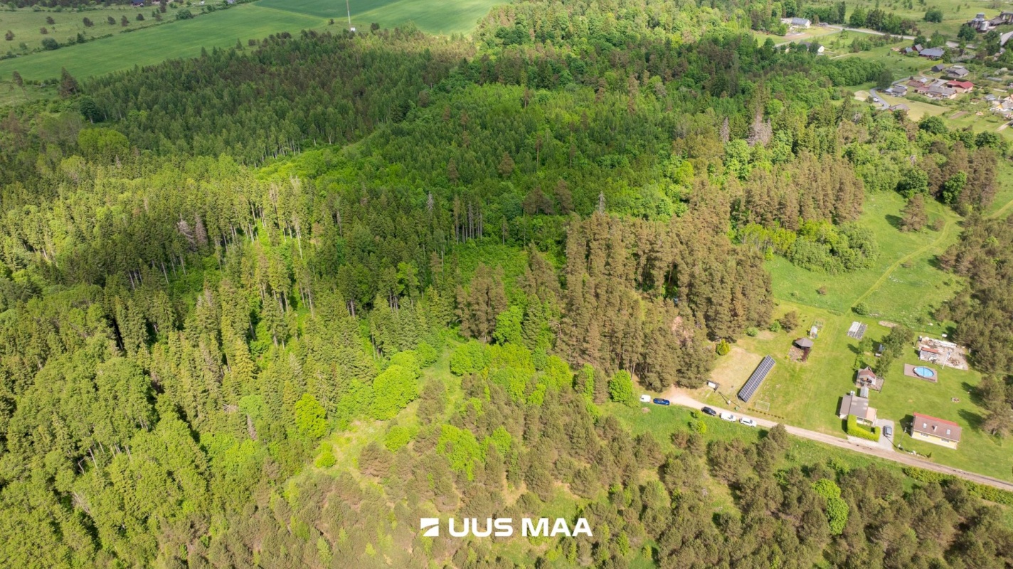 Kohila vald, Hageri küla, Tamme tee 12
