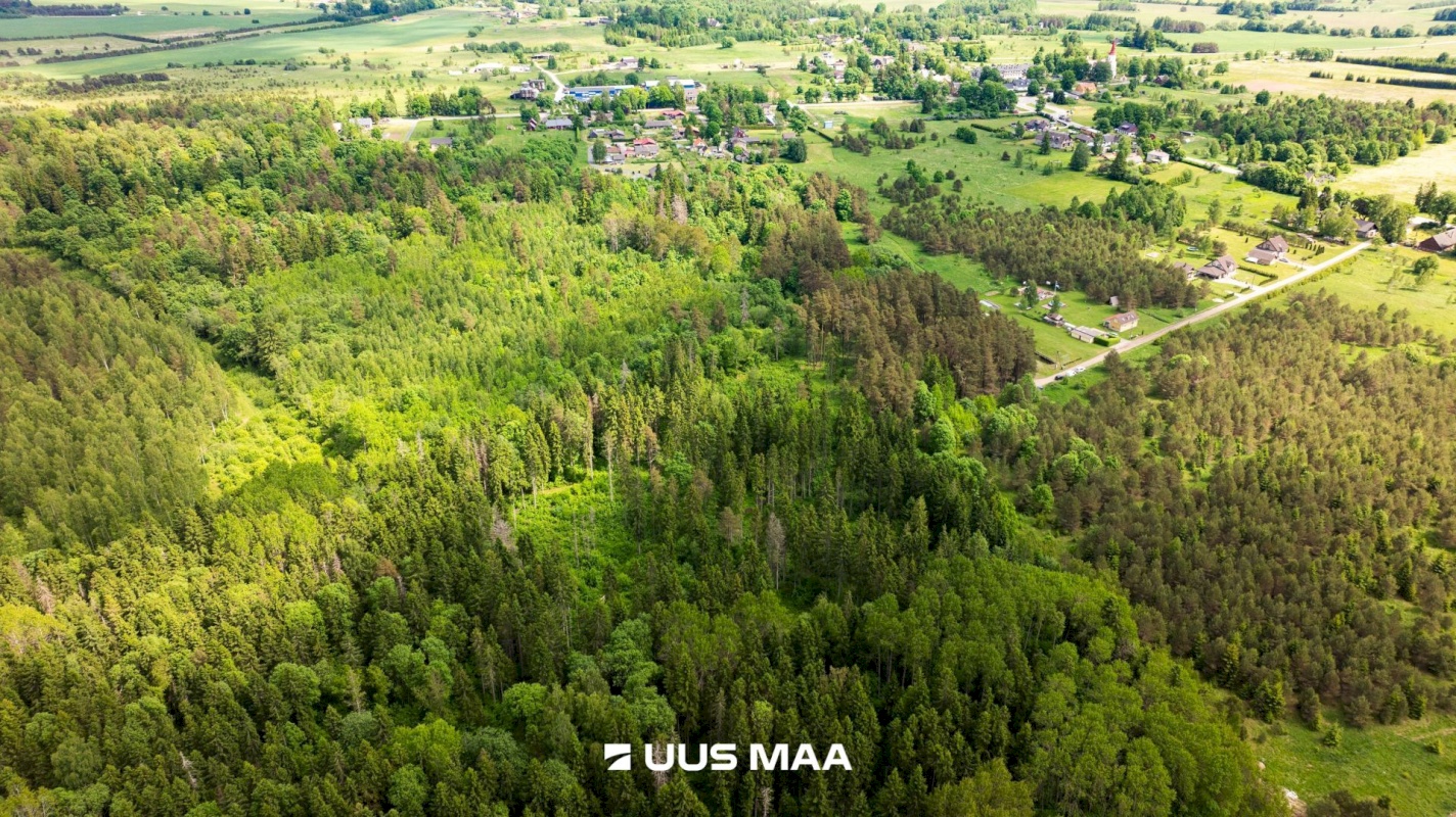 Kohila vald, Hageri küla, Tamme tee 12