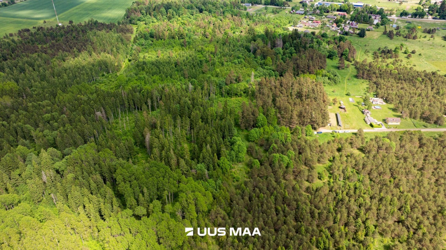 Kohila vald, Hageri küla, Tamme tee 12