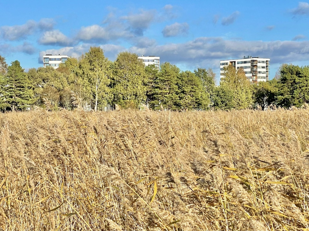 Pärnu linn, Pärnu linn, Mai, Mai 67