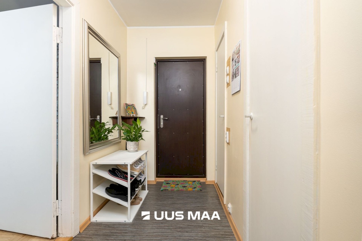 Saku vald, Saku alevik, Tiigi 4