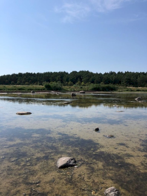 Vormsi vald, Borrby küla