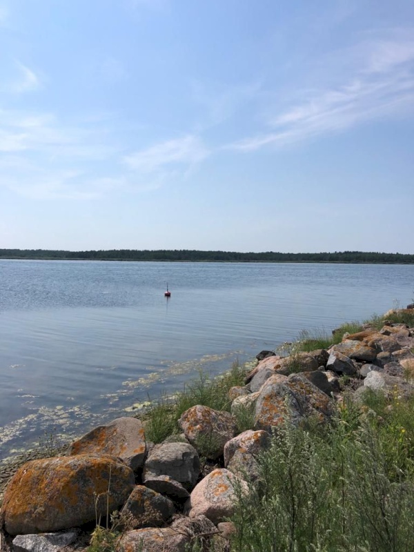 Vormsi vald, Borrby küla