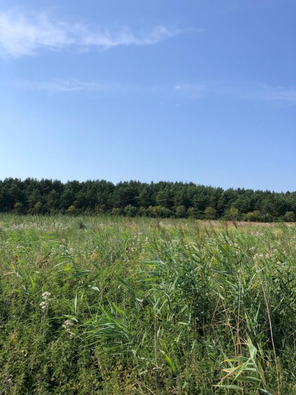 Vormsi vald, Borrby küla