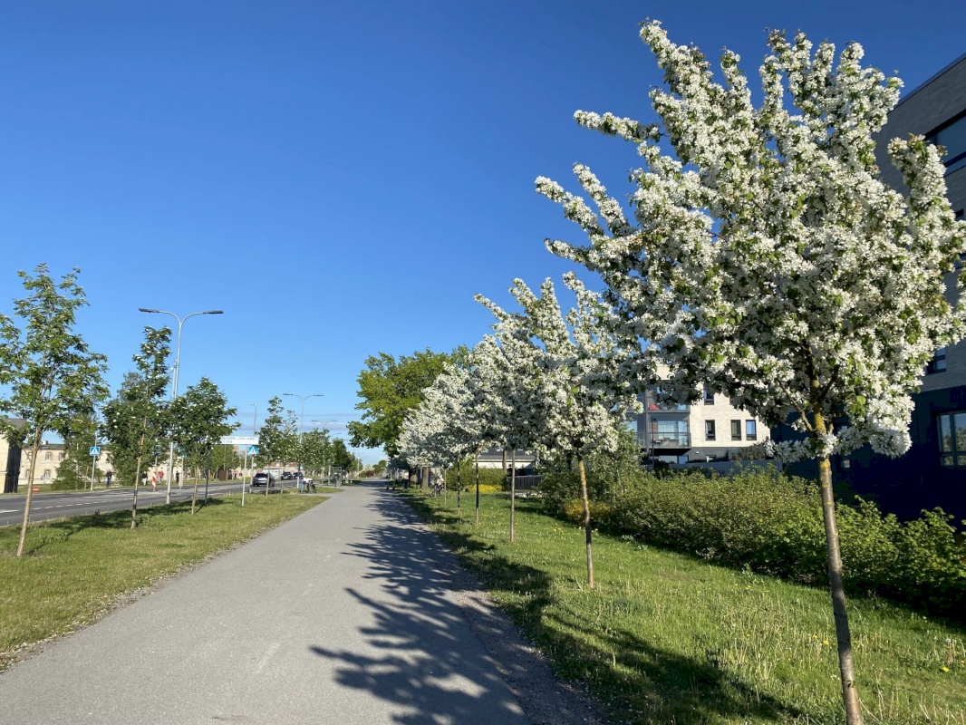 Tallinn, Põhja-Tallinna linnaosa, Kalaranna 27