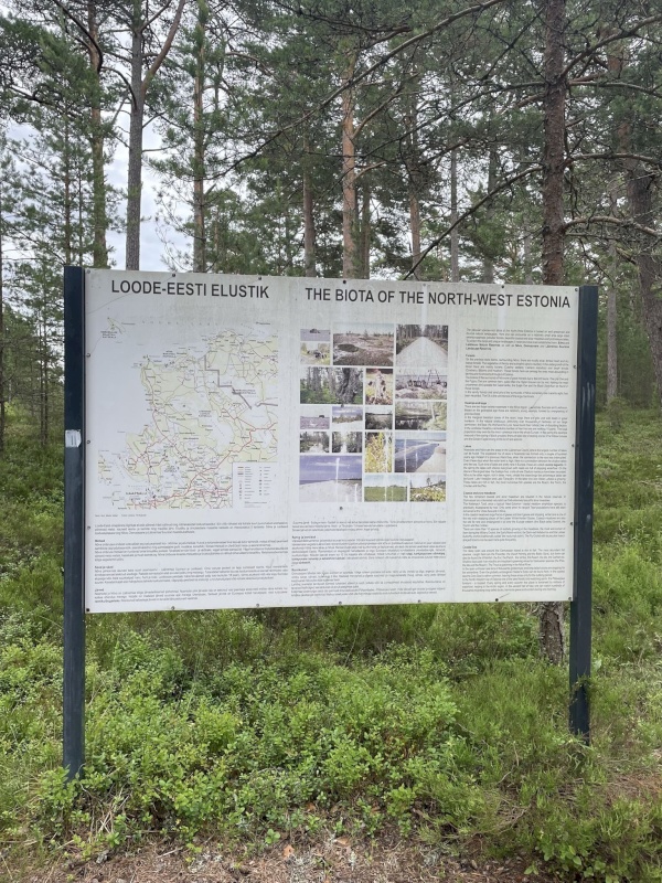 Lääne-Nigula vald, Elbiku küla/Ölbäck, Karjase tee