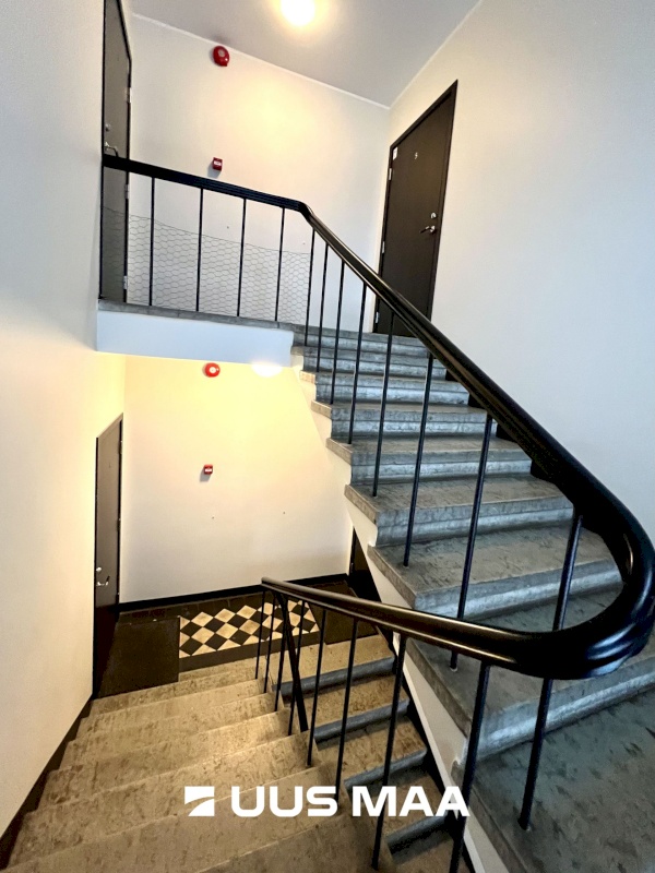 Tallinn, Kesklinna linnaosa, Kadriorg, A. Alle 3