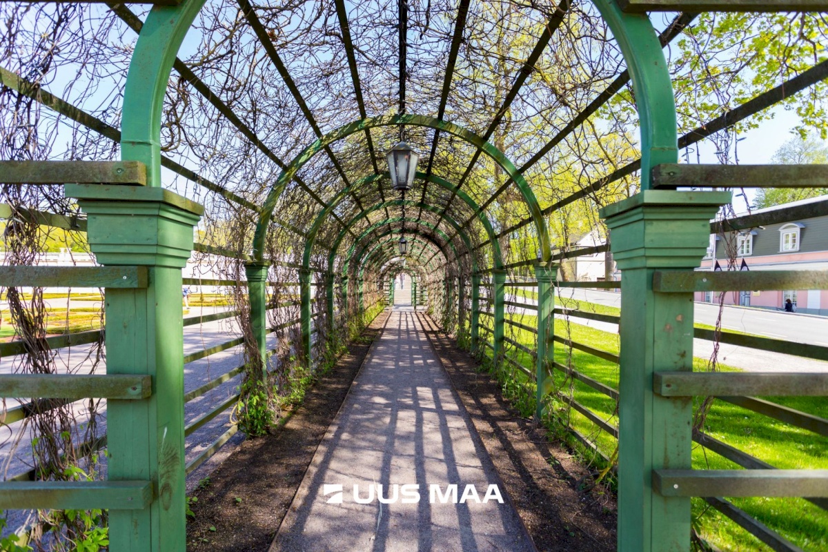 Tallinn, Kesklinna linnaosa, Kadriorg, A. Alle 3
