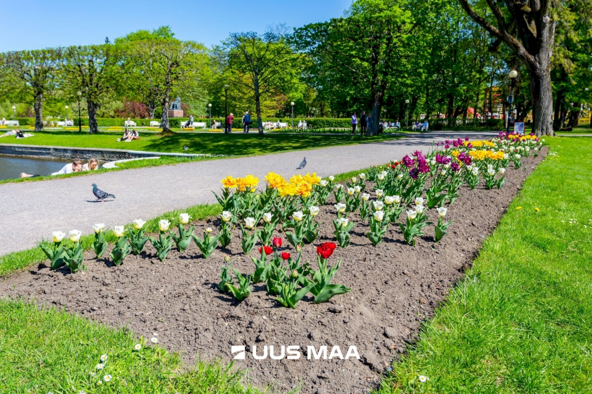 Tallinn, Kesklinna linnaosa, Kadriorg, A. Alle 3