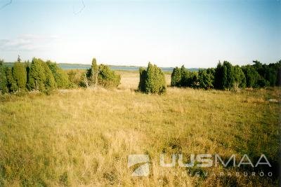 Saaremaa vald, Muratsi küla