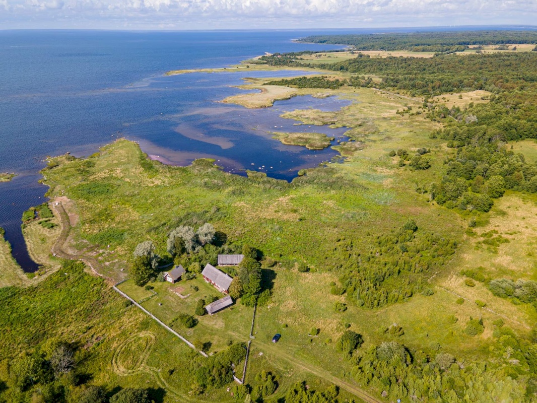 Saaremaa vald, Kargi küla, Nigu ja Niguvälja kinnistu