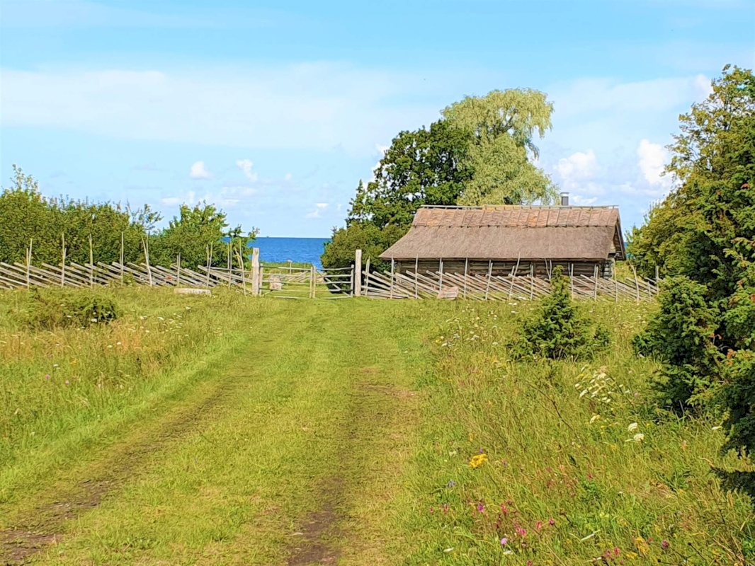 Saaremaa vald, Kargi küla, Nigu ja Niguvälja kinnistu