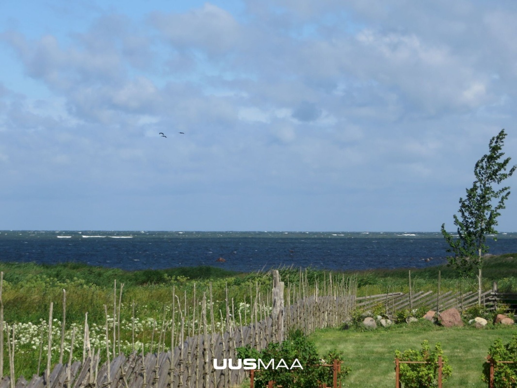 Saaremaa vald, Kargi küla, Nigu ja Niguvälja kinnistu