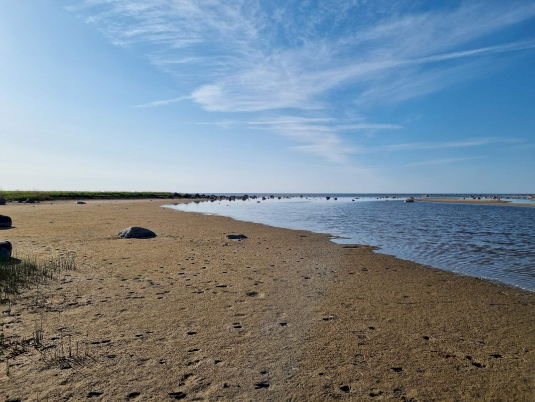 Saaremaa vald, Kargi küla, Nigu ja Niguvälja kinnistu