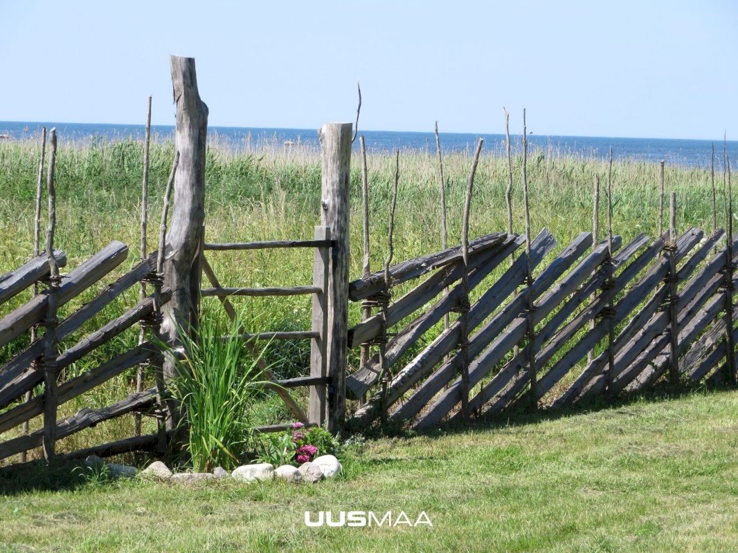 Saaremaa vald, Kargi küla, Nigu ja Niguvälja kinnistu