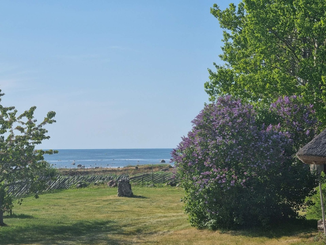 Saaremaa vald, Kargi küla, Nigu ja Niguvälja kinnistu