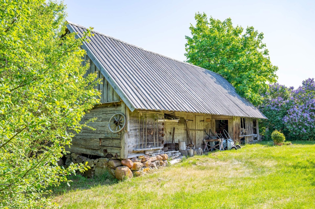 Saaremaa vald, Kargi küla, Nigu ja Niguvälja kinnistu