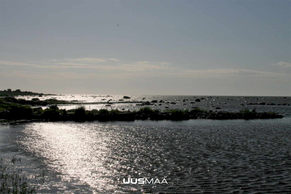 Saaremaa vald, Kargi küla, Nigu ja Niguvälja kinnistu