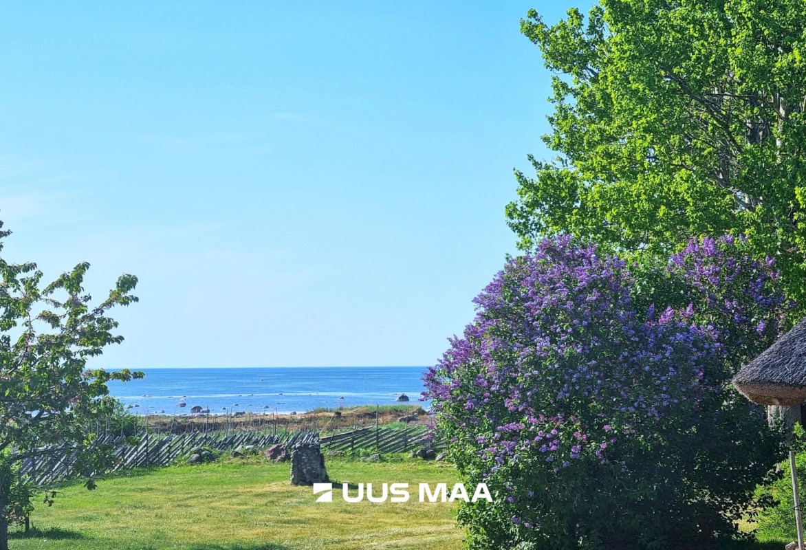 Saaremaa vald, Kargi küla, Nigu ja Niguvälja kinnistu