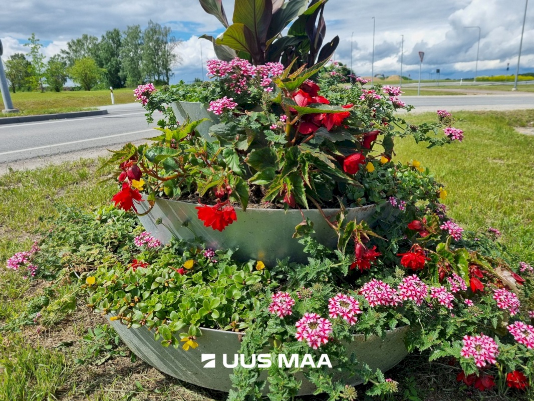 Rakvere vald, Sõmeru alevik, Puiestee tn 20