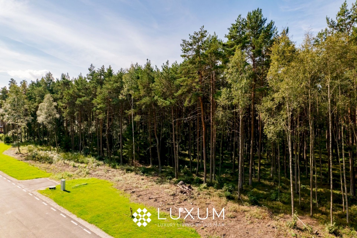 Viimsi vald, Pringi küla, Muraka tee 33