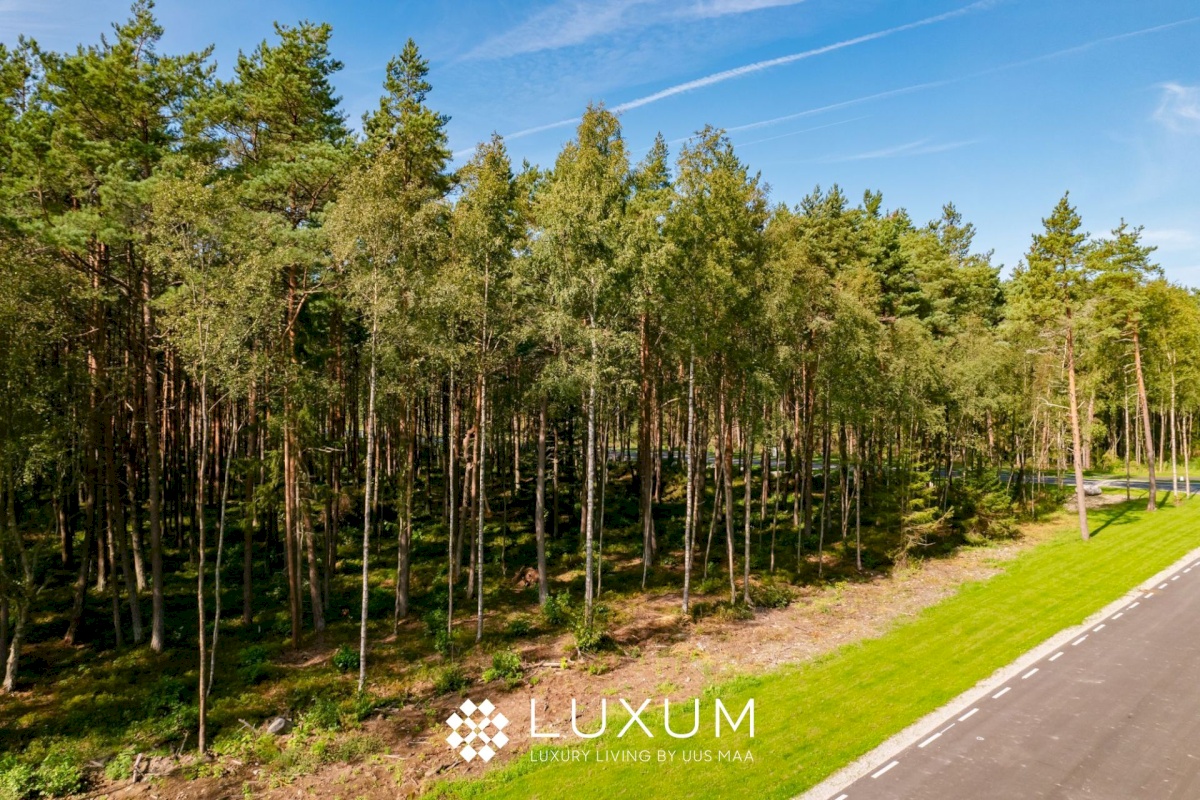 Viimsi vald, Pringi küla, Muraka tee 33