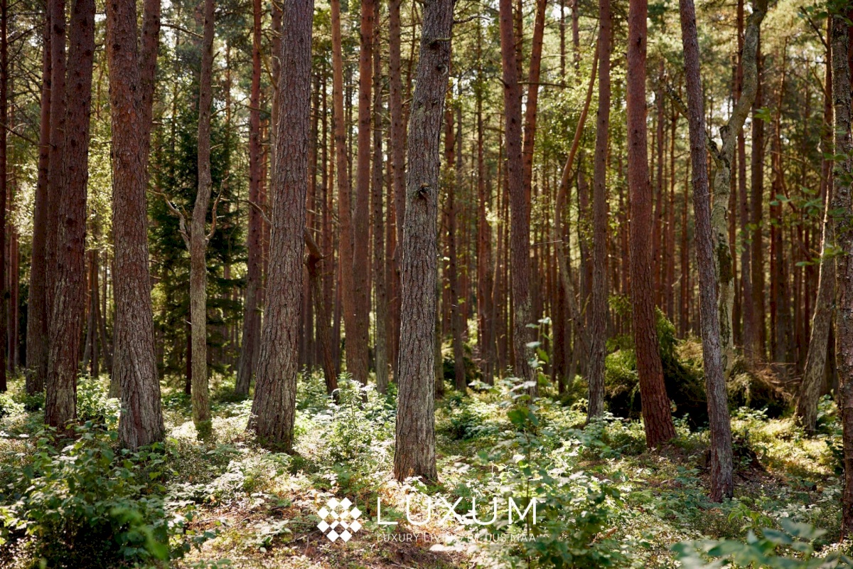 Viimsi vald, Pringi küla, Muraka tee 33