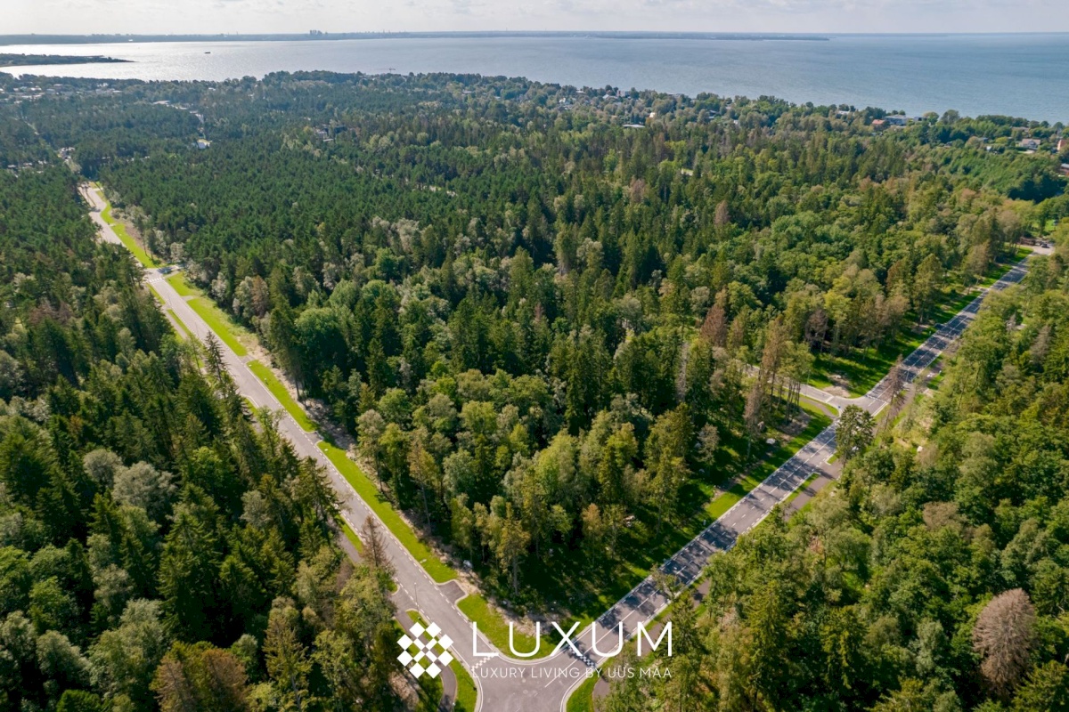 Viimsi vald, Pringi küla, Muraka tee 33