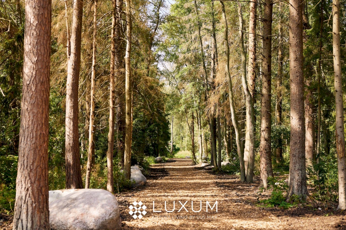 Viimsi vald, Pringi küla, Muraka tee 33