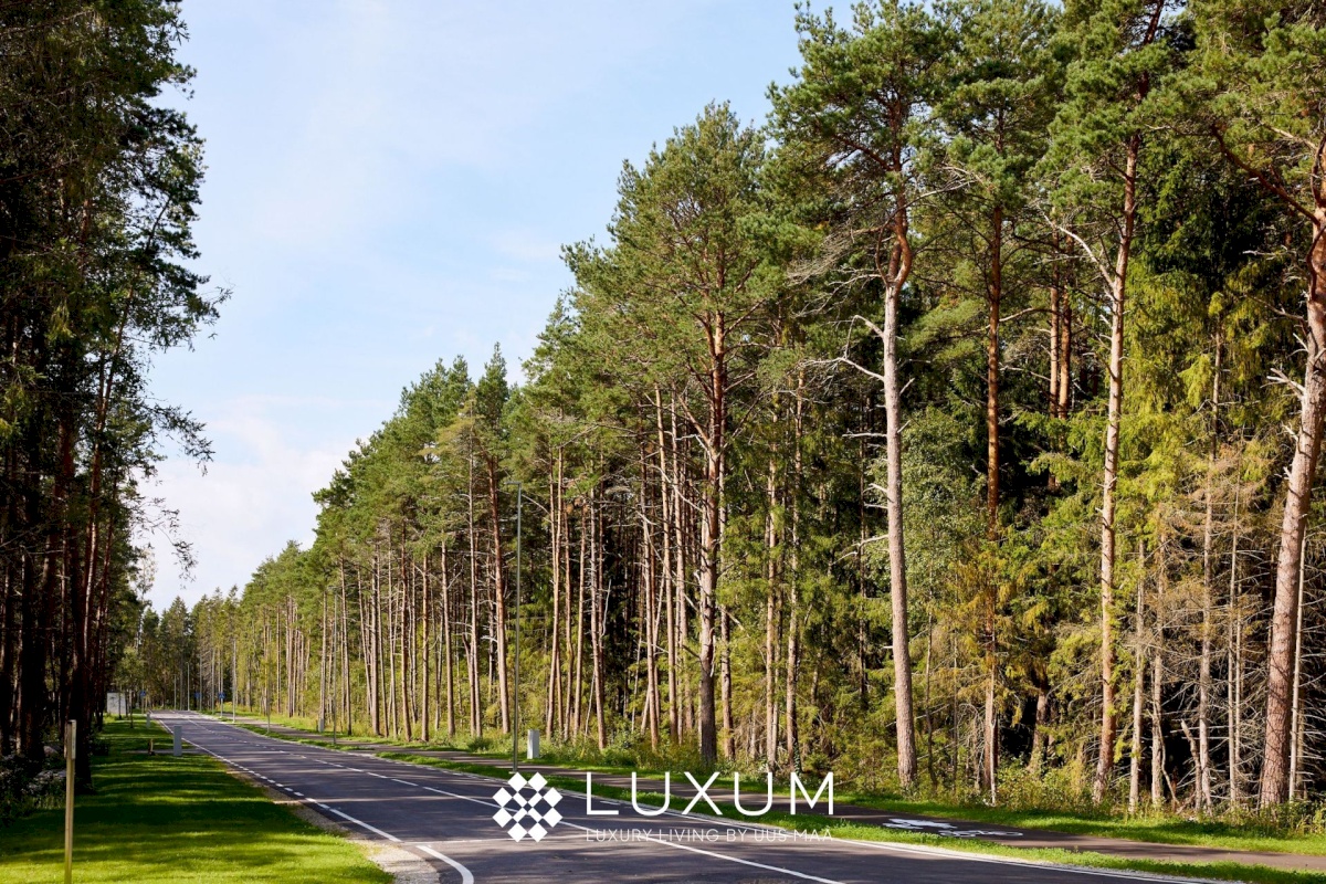 Viimsi vald, Pringi küla, Muraka tee 33