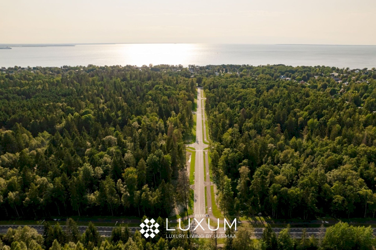 Viimsi vald, Pringi küla, Muraka tee 33